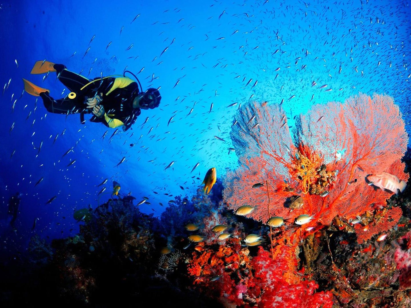 Andaman