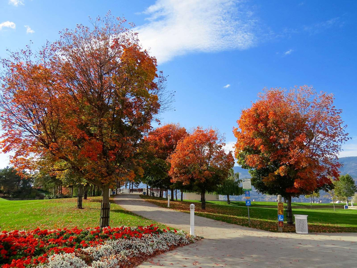 Kashmir, in all shades of autumn