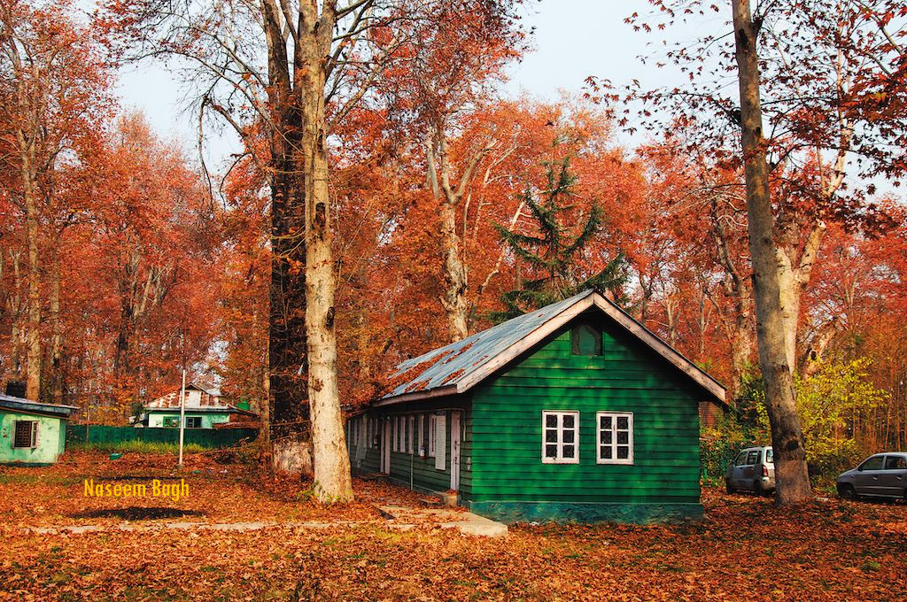 Kashmir, in all shades of autumn