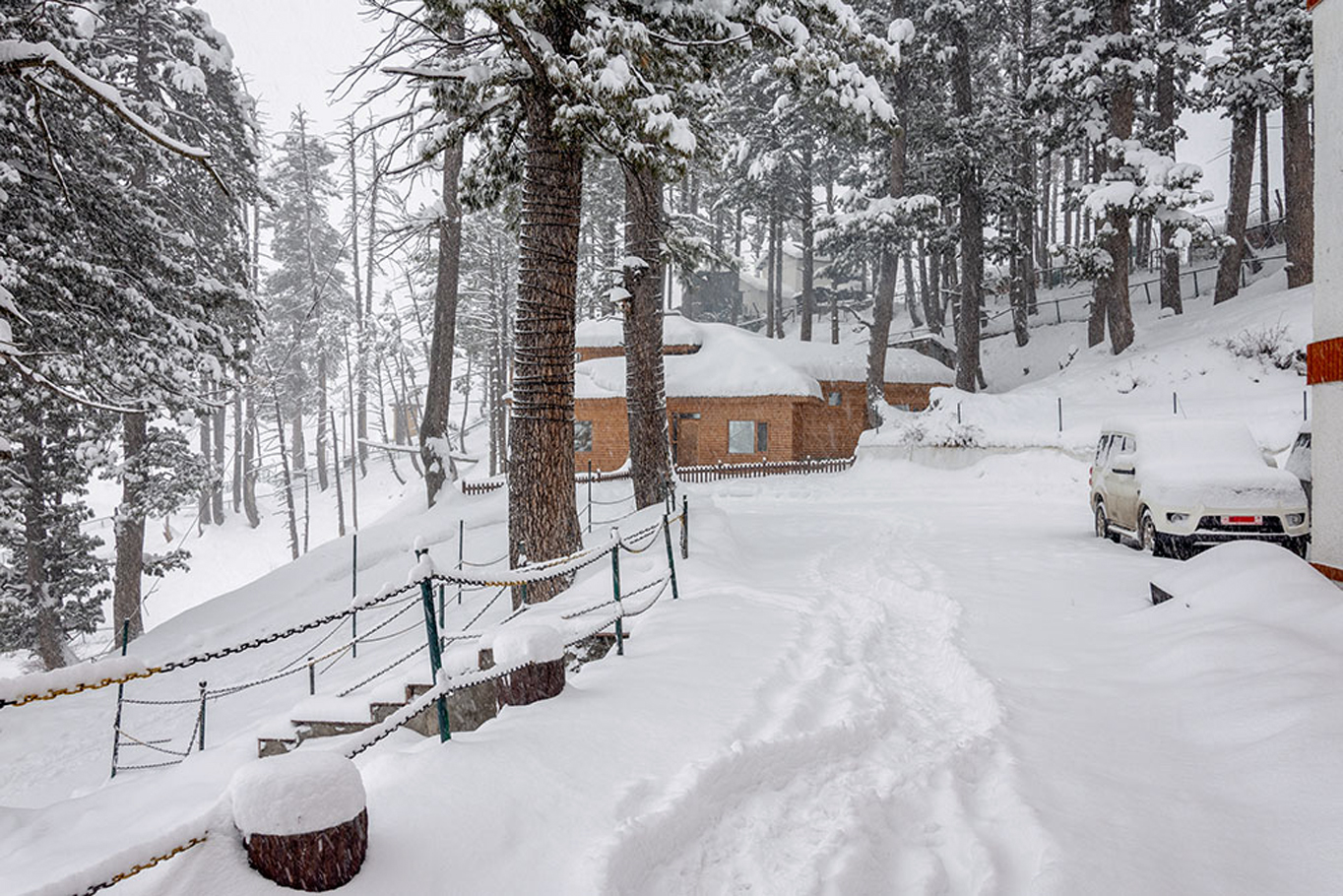 The opulence of autumn in Kashmir