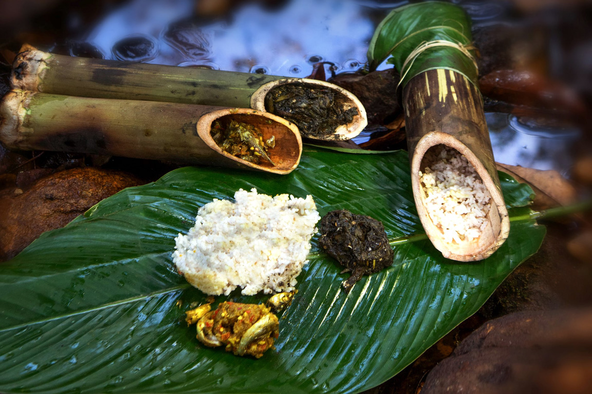 Wet and wild Meghalaya and Assam