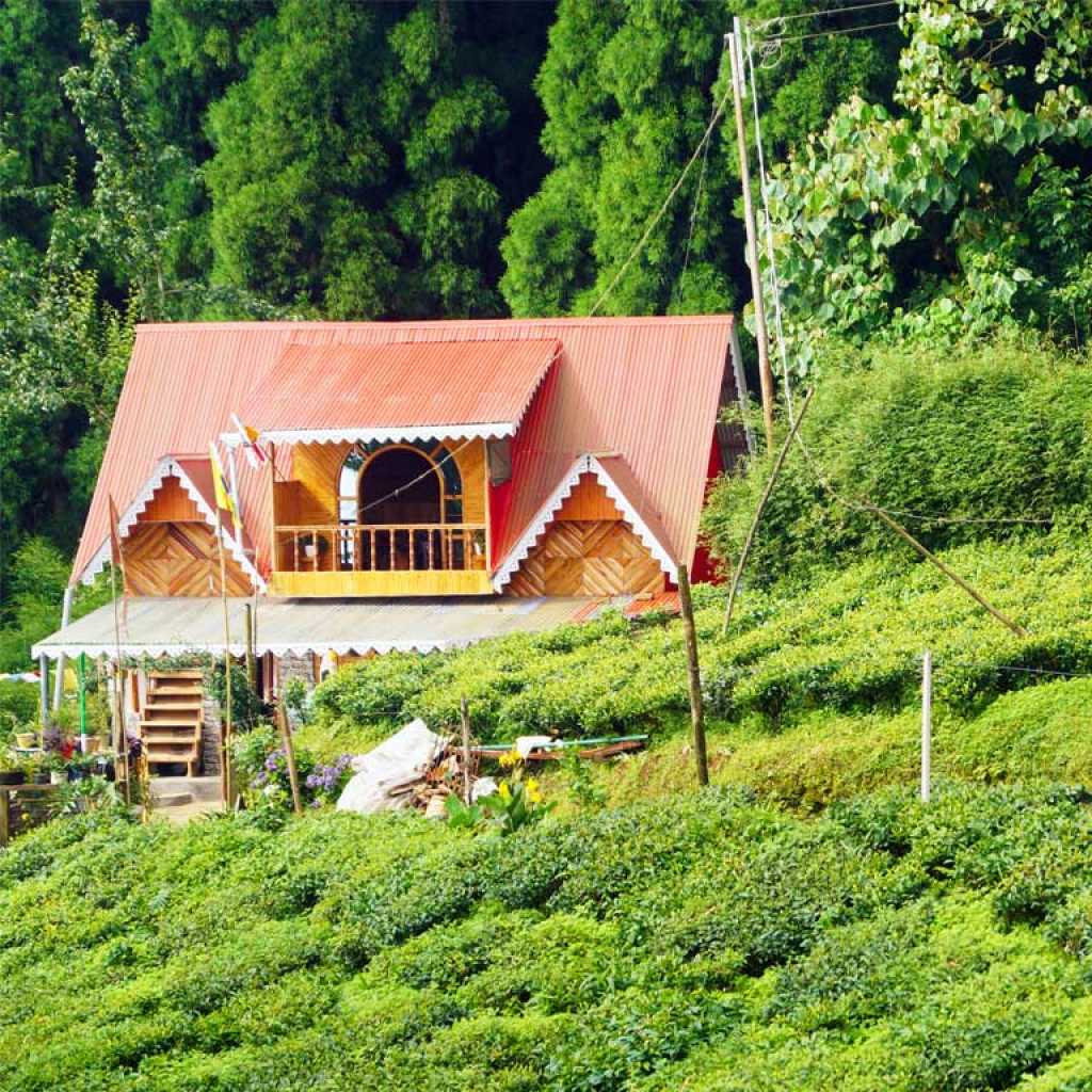 A charming homestay in Pokhriabong