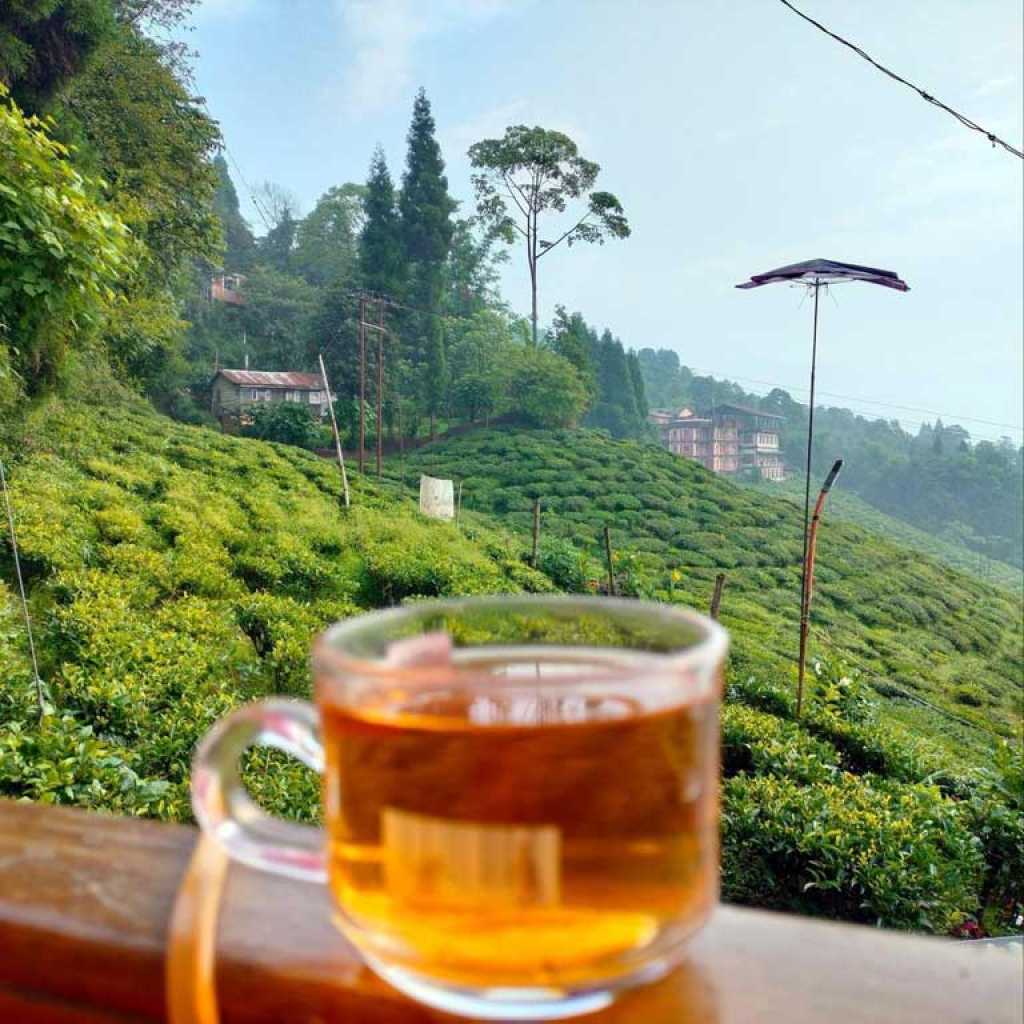 A charming homestay in Pokhriabong