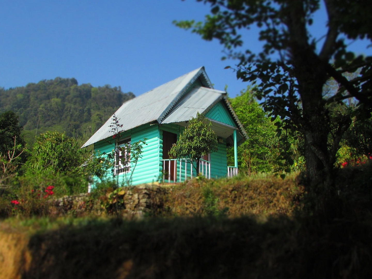 photo gallery image 01