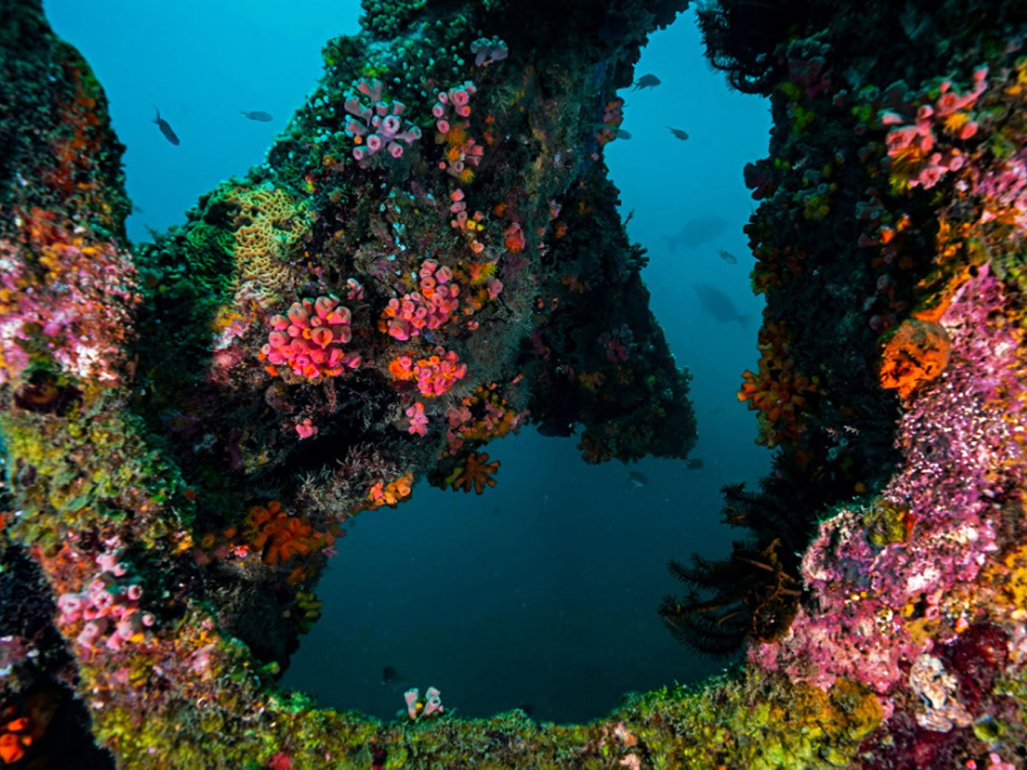 Andaman