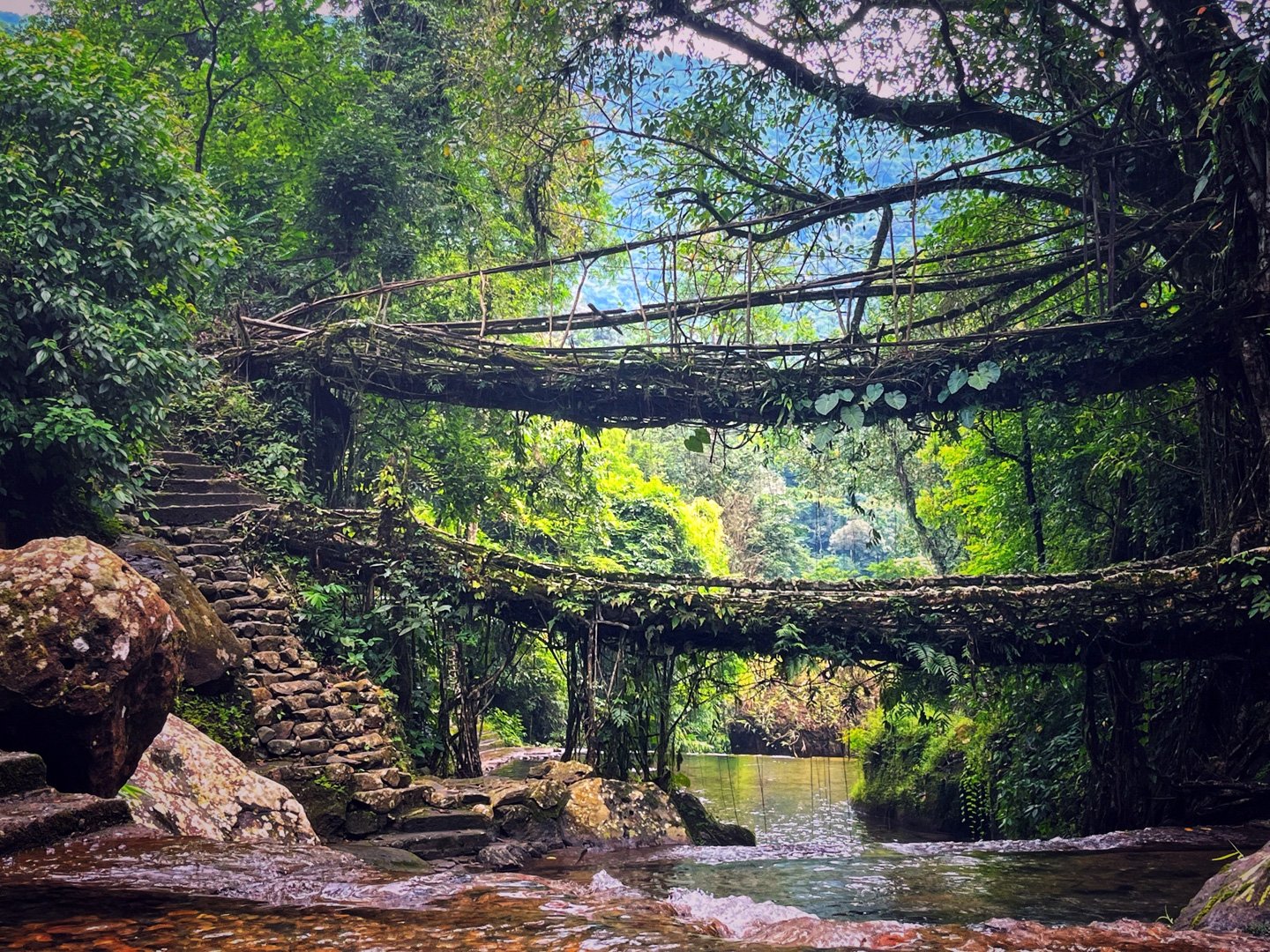 Meghalaya, a poetry in the clouds
